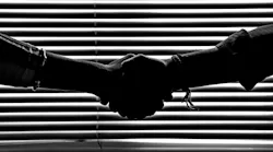 handshake-blinds-pexels