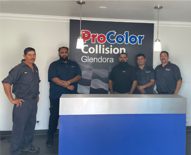 1672950030148 Procolorglendora