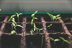 1672950616015 Markusspiskevrbzvyx2k4iunsplash11 1672950616015 Markusspiskevrbzvyx2k4iunsplash11