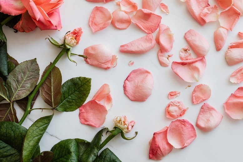 1673017810649 Pexelskarolinagrabowska4041330