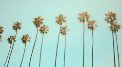 julian-myles-2YGrbLlbz6Y-unsplash-1