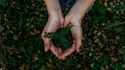 noah-buscher-x8ZStukS2PM-unsplash-1