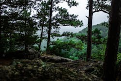 1673020272154 Ryanarnstfams8hfuxcunsplash1 1673020272154 Ryanarnstfams8hfuxcunsplash1