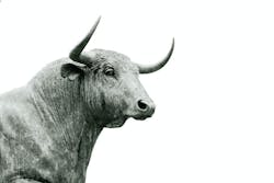 1673020530381 Hanseiskonenwn57csq7vziunsplash1 1673020530381 Hanseiskonenwn57csq7vziunsplash1