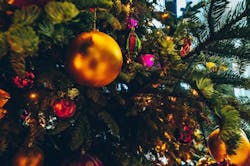 1673020540809 Tinavanhovelop9d8vn7ewunsplash1 1673020540809 Tinavanhovelop9d8vn7ewunsplash1