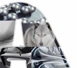 1673047650046 Gallantgray 1673047650046 Gallantgray