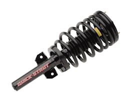 1673048206262 Thisone 1673048206262 Thisone