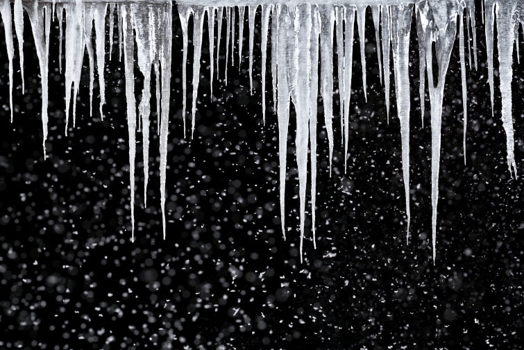 1673048617289 Casestudy 1016