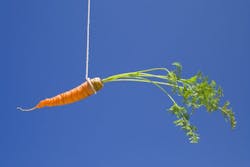 1673052600126 Carrot 1 1673052600126 Carrot 1