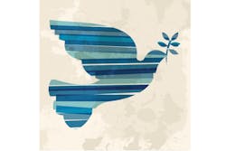 1673054599547 Findingcommongroundbetweenshopsandinsurers 1673054599547 Findingcommongroundbetweenshopsandinsurers