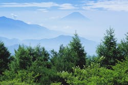 1673276968868 Gogreen 1673276968868 Gogreen