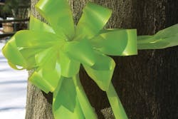 1673278876919 Theepaiscomingtotown 1673278876919 Theepaiscomingtotown