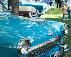 1675271891801 Pexelsvaleriaboltneva9545358 1675271891801 Pexelsvaleriaboltneva9545358