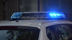 Pexels Pixabay 532001 6476656702e0d Pexels Pixabay 532001 6476656702e0d