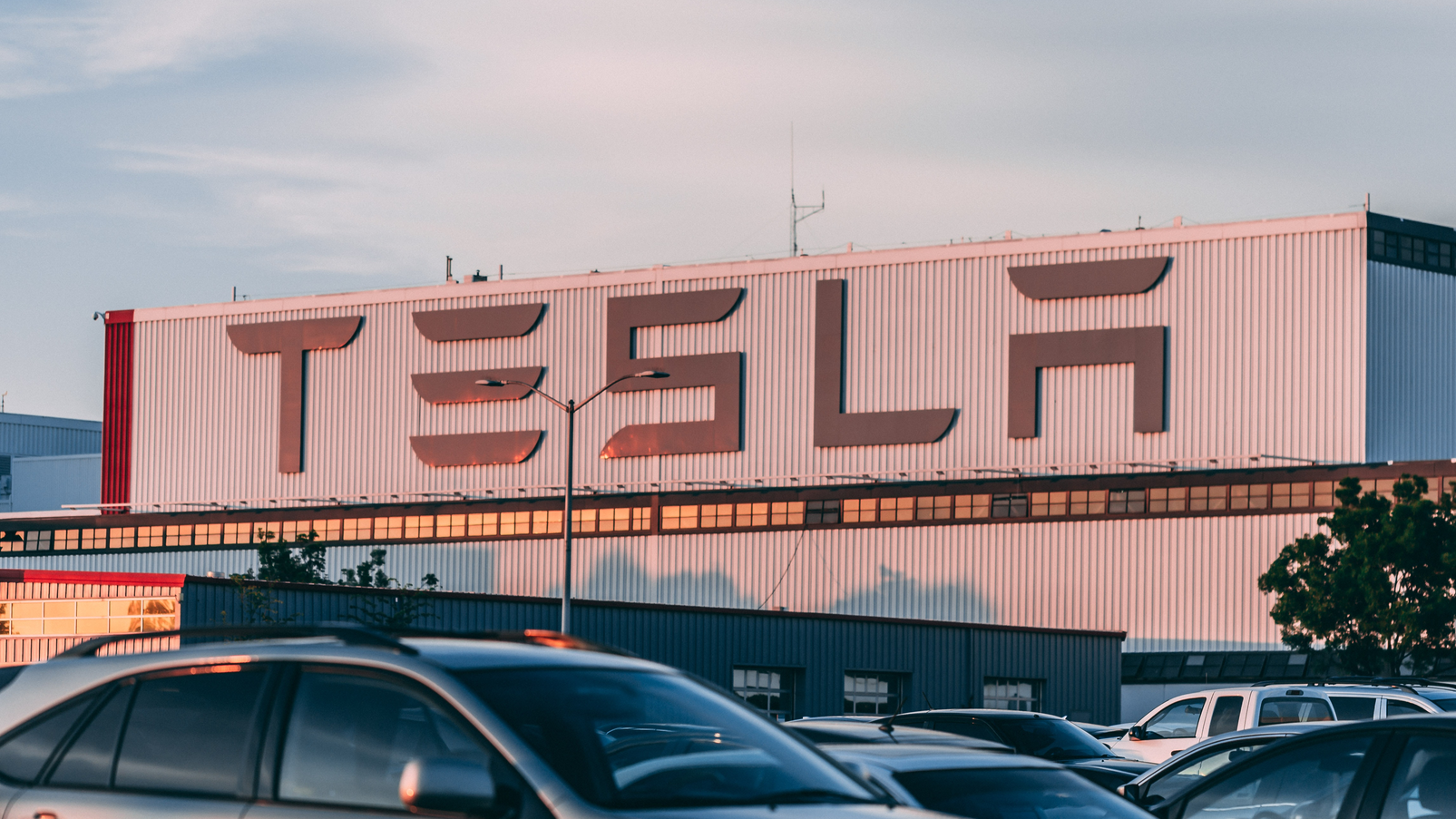 Pexels Craig Adderley 2449452 6487806eb83bf