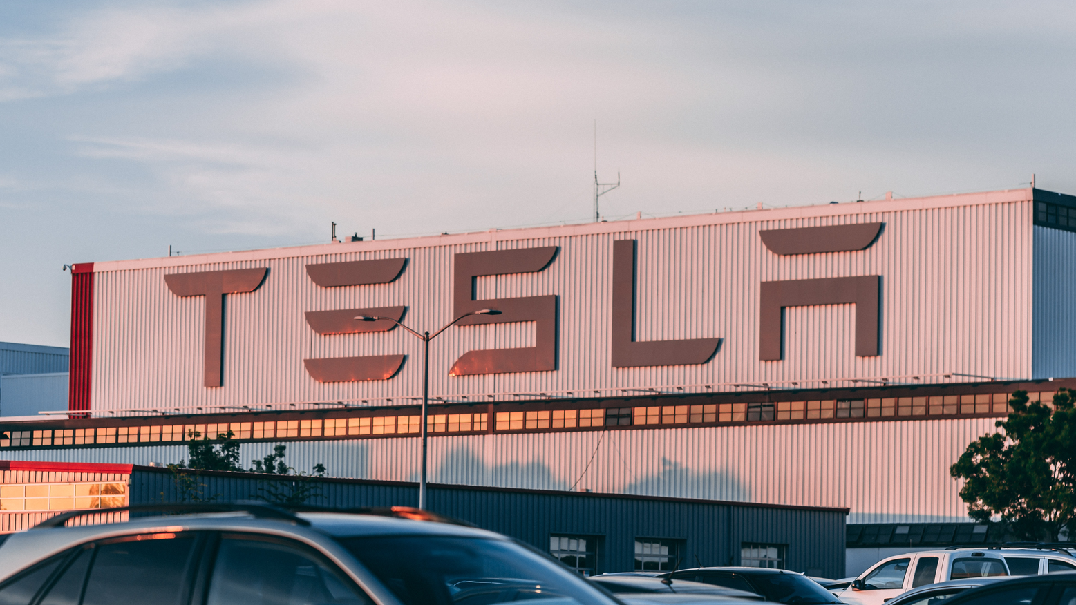 Pexels Craig Adderley 2449452 649491152fa7d