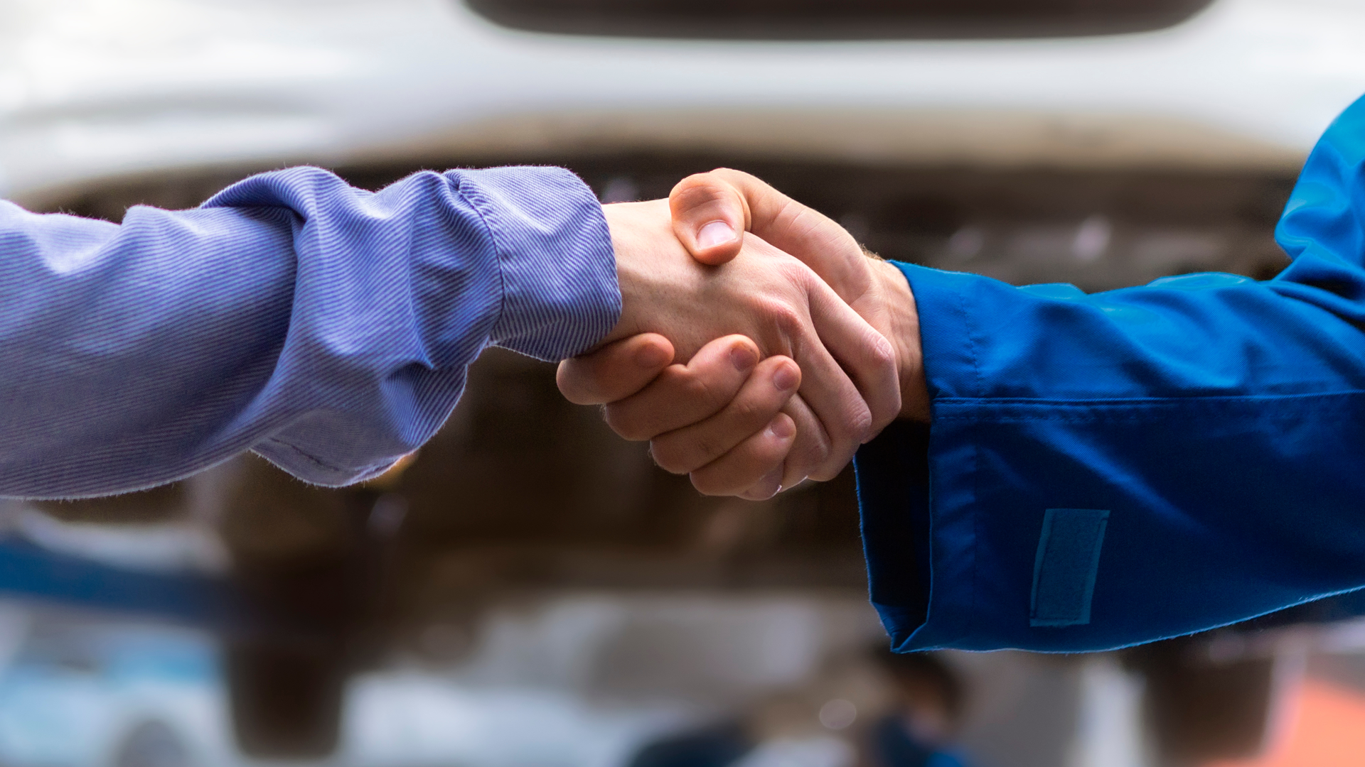 Customer service in the shop