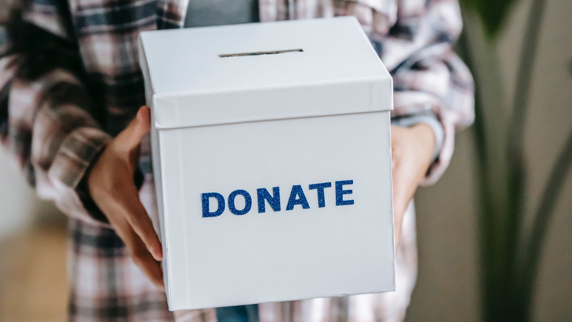 Pexels Liza Summer 6347730 64de886b70ded