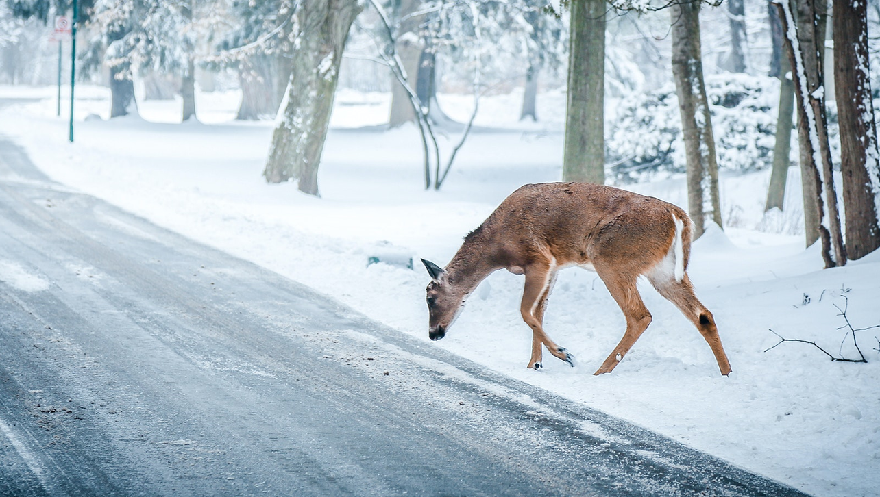 Pexels Snapwire 6993 65304910bb9d5