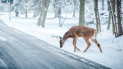 Pexels Snapwire 6993 65304910bb9d5 Pexels Snapwire 6993 65304910bb9d5