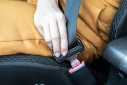 65bad13bbab8e9001e608fc9 Dreamstime S 174329815 65bad13bbab8e9001e608fc9 Dreamstime S 174329815