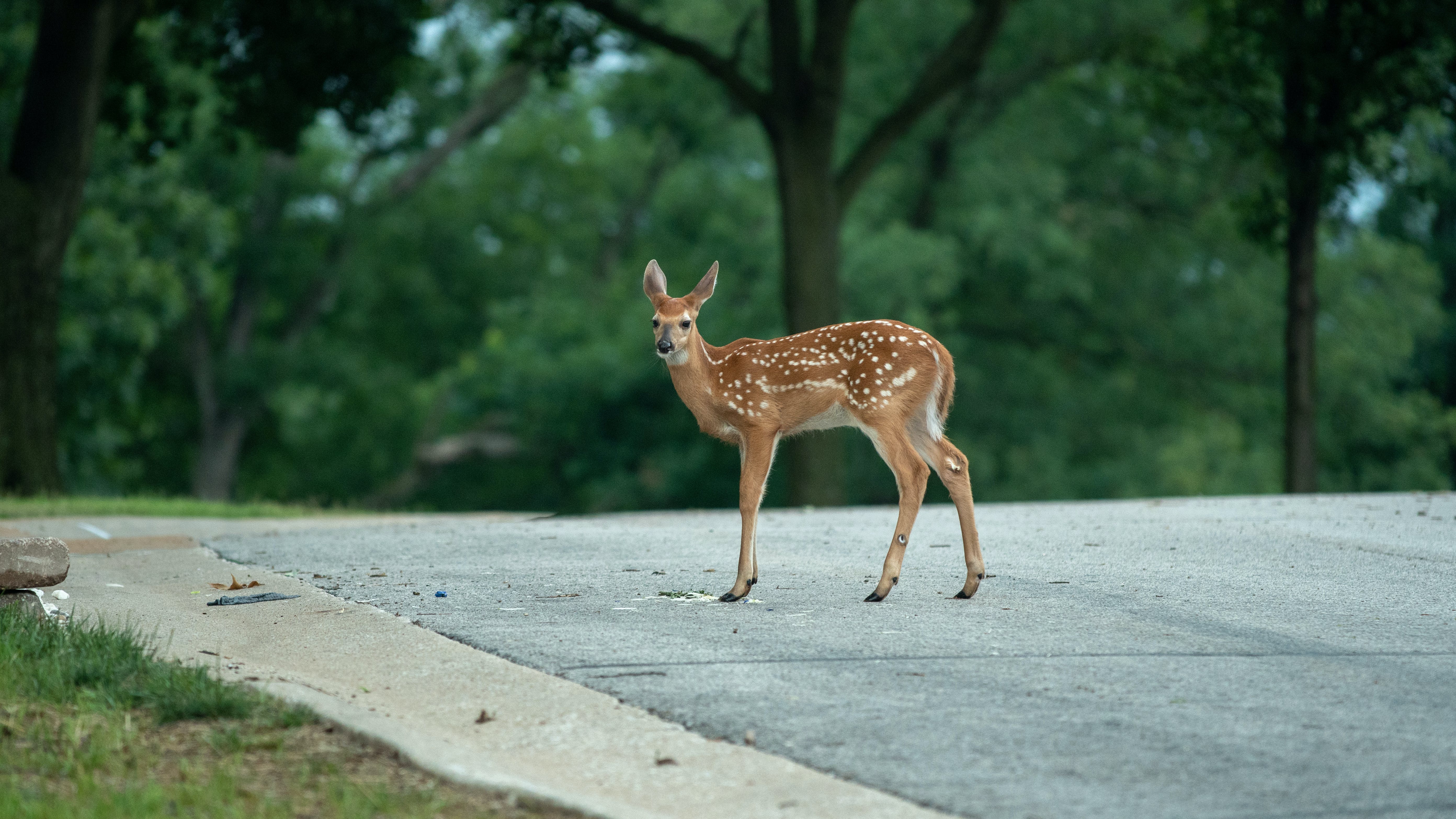 65c67fc55eb926001ebb954e Adobestock 267578603