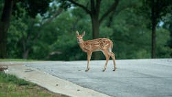 65c67fc55eb926001ebb954e Adobestock 267578603 65c67fc55eb926001ebb954e Adobestock 267578603