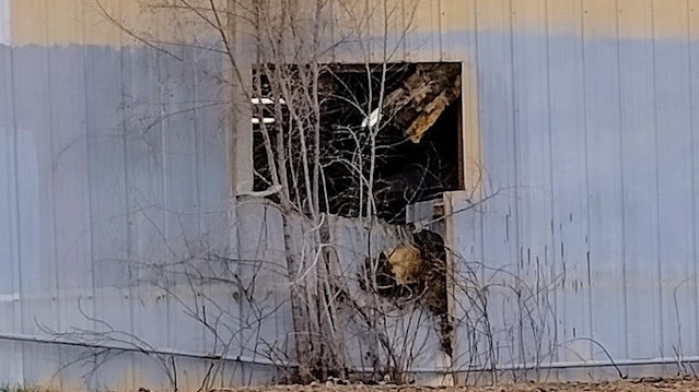 Outside building view of semi-truck tire damage at Extreme Auto Body in Greeley, Colorado.