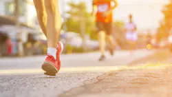 66058cf248d091001e28fc9a Adobestock 170631687 66058cf248d091001e28fc9a Adobestock 170631687