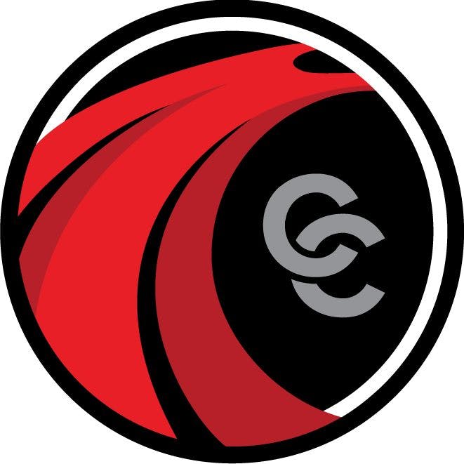 664f5def8dad08b9901bed76 Crash Champions Logo