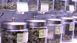Marijuana