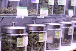 665717458d79d86ac7194e2d Marijuana 665717458d79d86ac7194e2d Marijuana