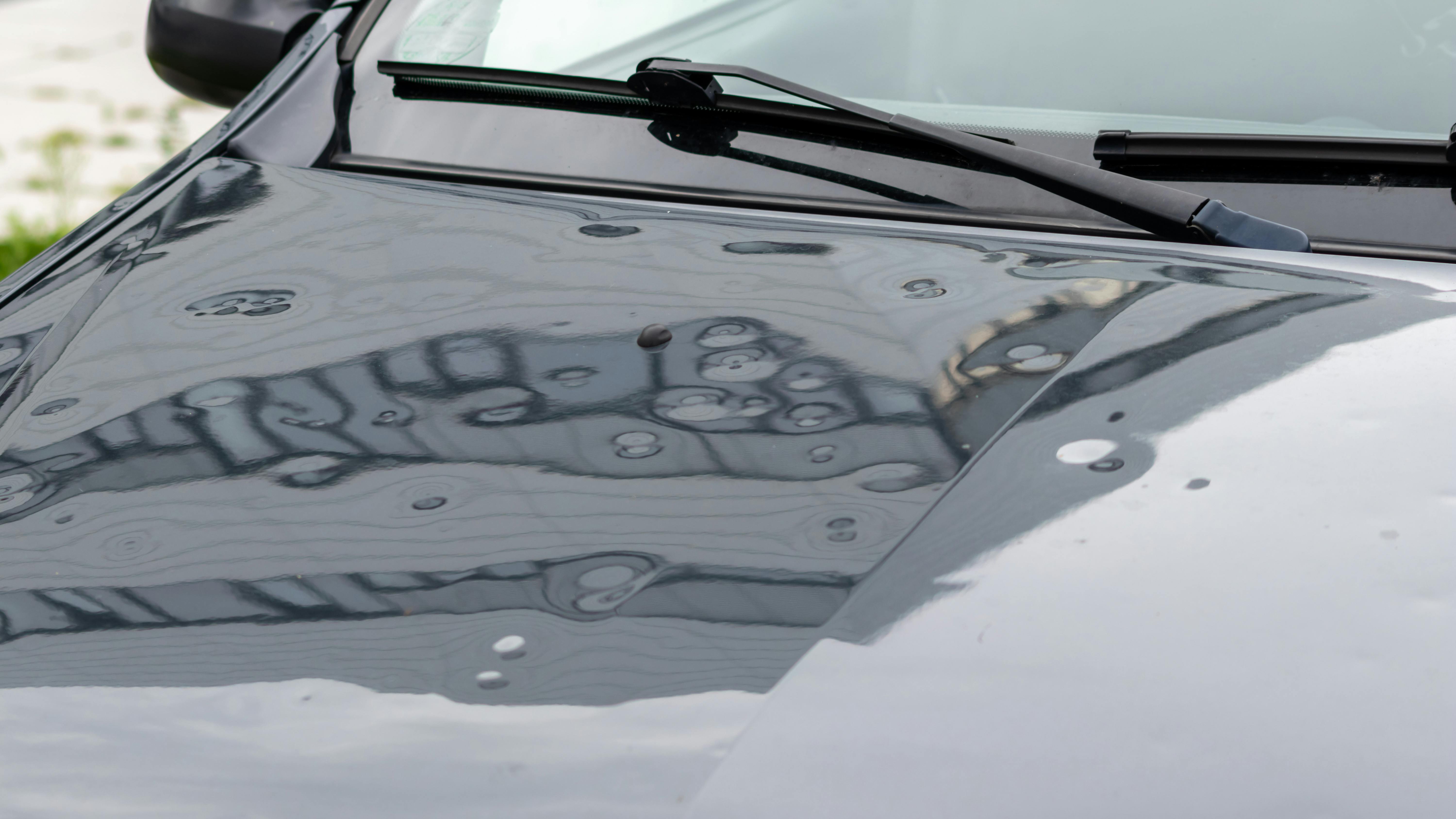 6679e0a5e63bf15c76b8ee12 Adobestock 450845591