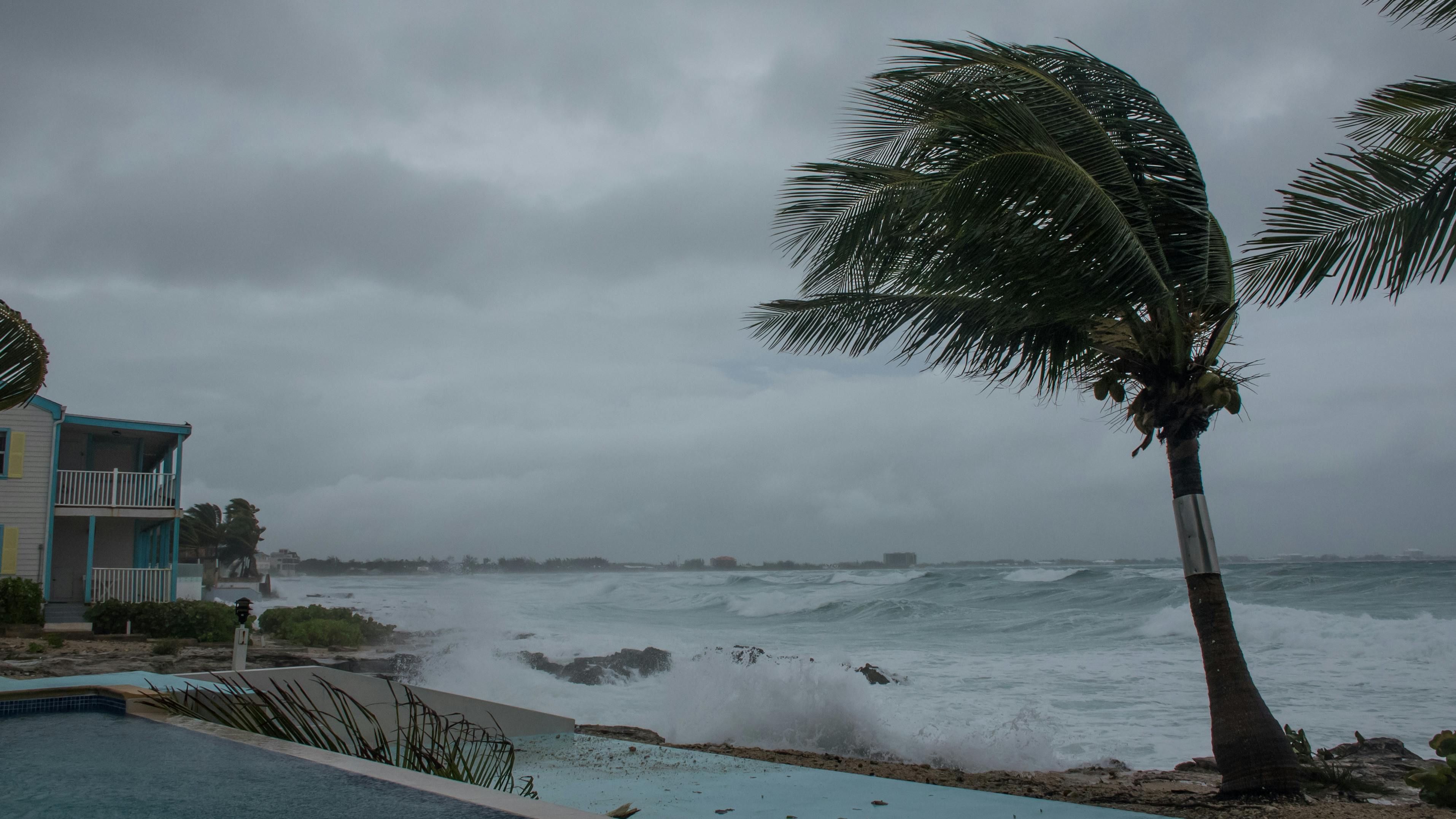 Hurricane wind