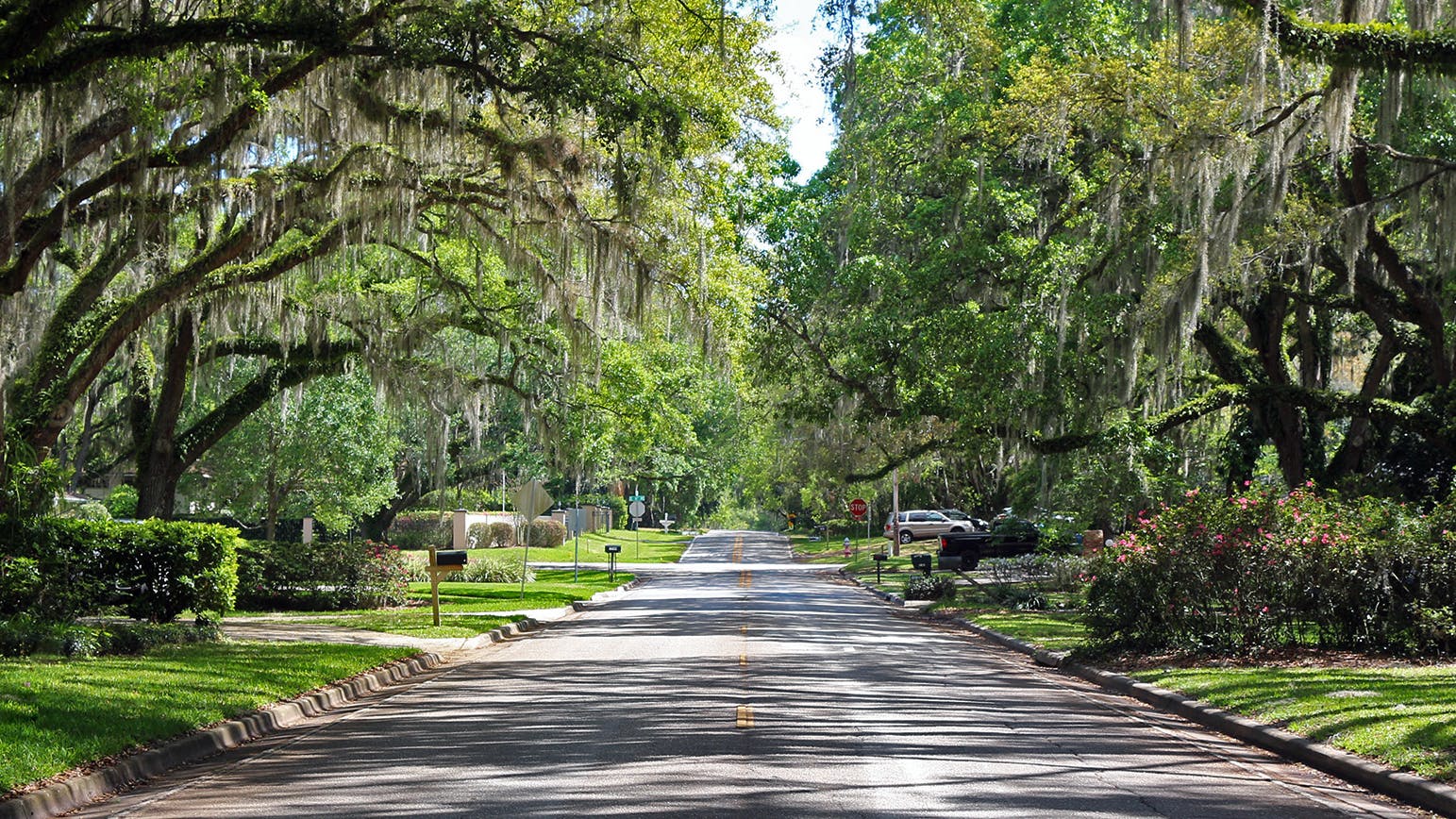 Street in Ocala