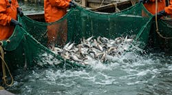 adobestock_1376934749 adobestock_1376934749