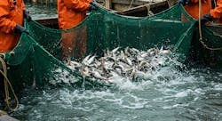 68c08dc768cb456c83f5279b Adobestock 1376934749 68c08dc768cb456c83f5279b Adobestock 1376934749