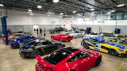 stuart_s_paint__body_grapevine7 stuart_s_paint__body_grapevine7