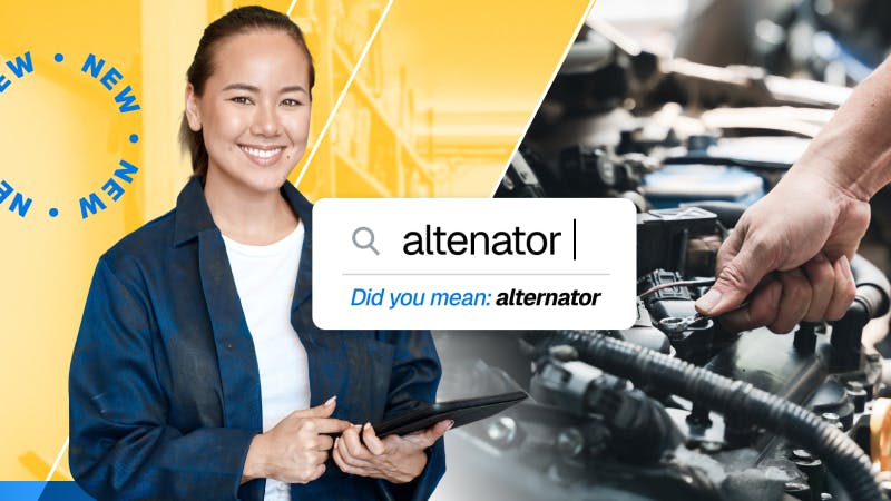 mitchell_1_didyoumean_graphic