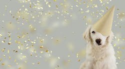 New Year Dog New Year Dog