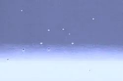 solvent_pop_2